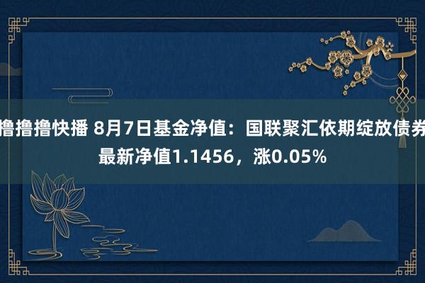撸撸撸快播 8月7日基金净值：国联聚汇依期绽放债券最新净值1.1456，涨0.05%