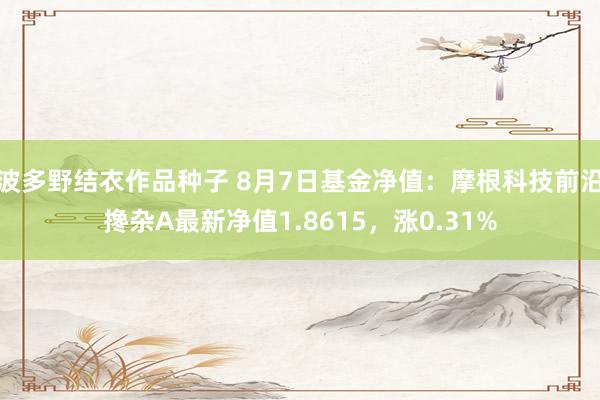 波多野结衣作品种子 8月7日基金净值：摩根科技前沿搀杂A最新净值1.8615，涨0.31%