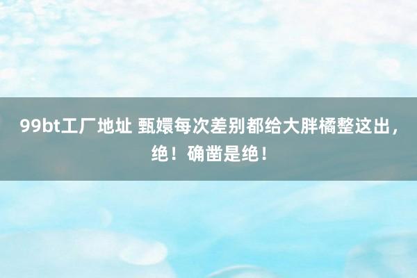 99bt工厂地址 甄嬛每次差别都给大胖橘整这出，绝！确凿是绝！