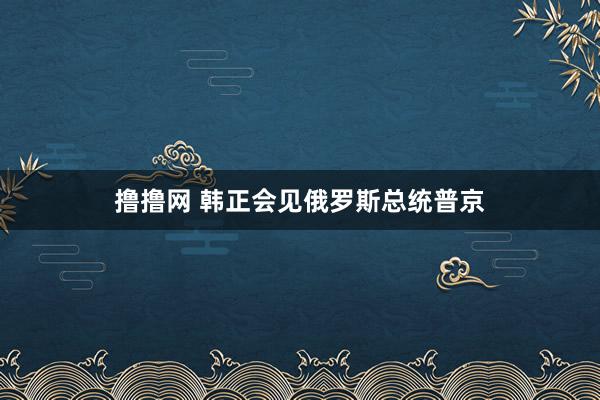 撸撸网 韩正会见俄罗斯总统普京