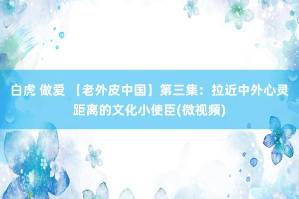 白虎 做爱 【老外皮中国】第三集：拉近中外心灵距离的文化小使臣(微视频)