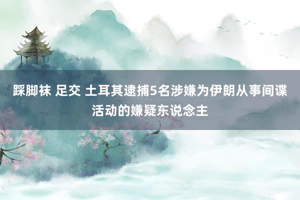 踩脚袜 足交 土耳其逮捕5名涉嫌为伊朗从事间谍活动的嫌疑东说念主