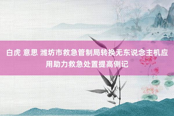 白虎 意思 潍坊市救急管制局转换无东说念主机应用助力救急处置提高侧记