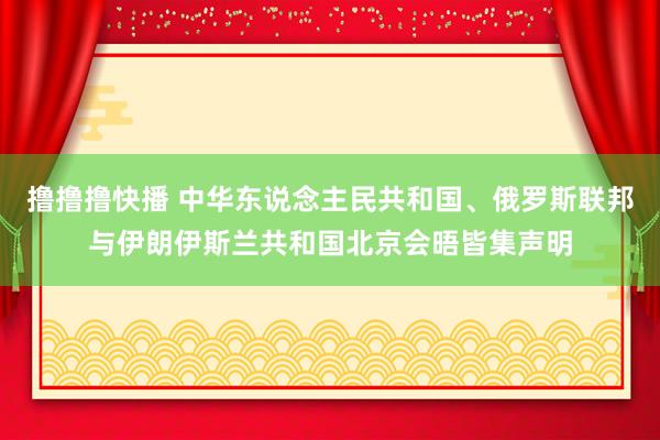 撸撸撸快播 中华东说念主民共和国、俄罗斯联邦与伊朗伊斯兰共和国北京会晤皆集声明