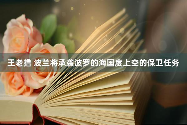 王老撸 波兰将承袭波罗的海国度上空的保卫任务
