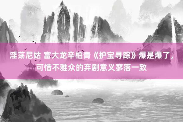 淫荡尼姑 富大龙辛柏青《护宝寻踪》爆是爆了，可惜不雅众的弃剧意义寥落一致