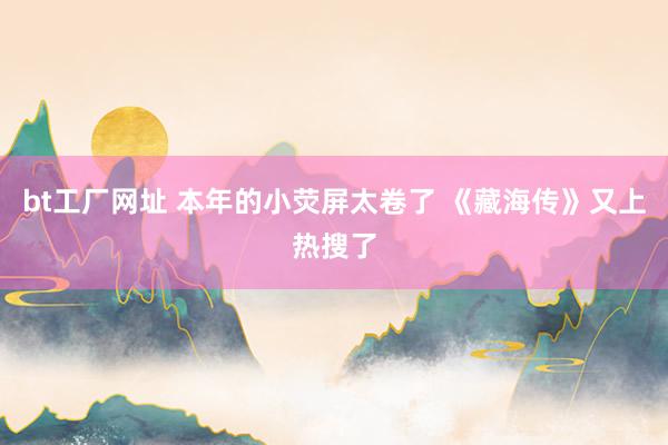 bt工厂网址 本年的小荧屏太卷了 《藏海传》又上热搜了