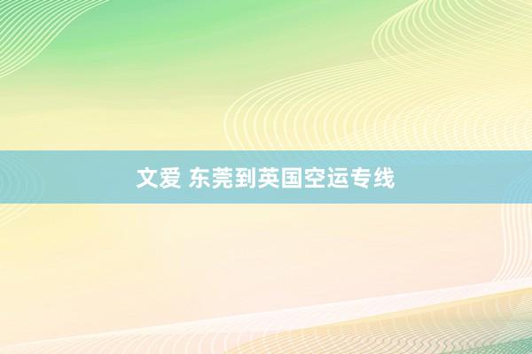 文爱 东莞到英国空运专线