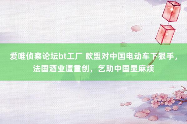 爱唯侦察论坛bt工厂 欧盟对中国电动车下狠手，法国酒业遭重创，乞助中国显麻烦
