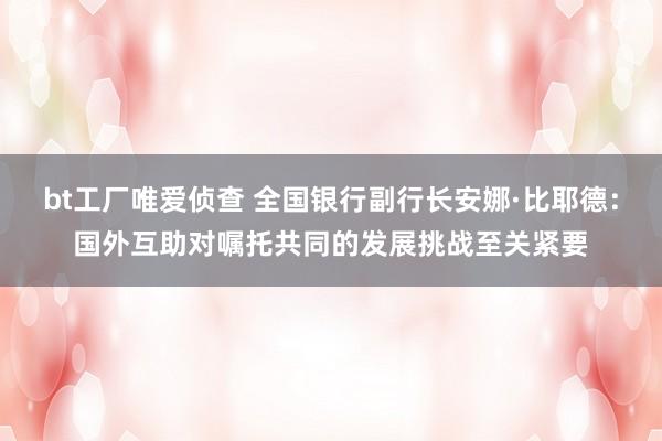 bt工厂唯爱侦查 全国银行副行长安娜·比耶德：国外互助对嘱托共同的发展挑战至关紧要