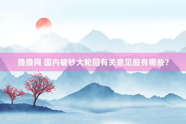 撸撸网 国内破钞大轮回有关意见股有哪些？
