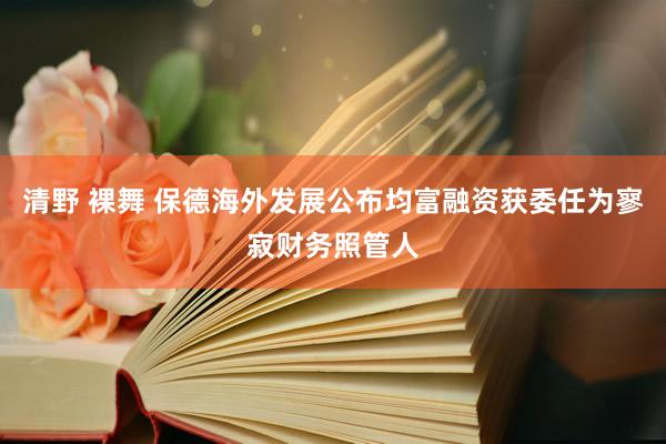 清野 裸舞 保德海外发展公布均富融资获委任为寥寂财务照管人