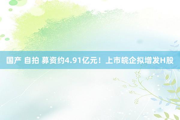 国产 自拍 募资约4.91亿元！上市皖企拟增发H股