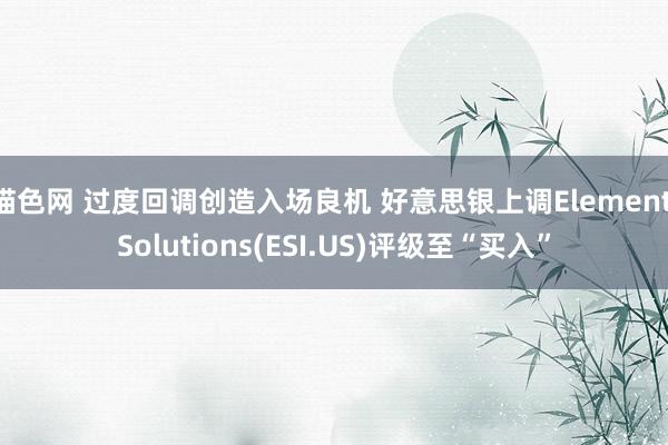 猫色网 过度回调创造入场良机 好意思银上调Element Solutions(ESI.US)评级至“买入”