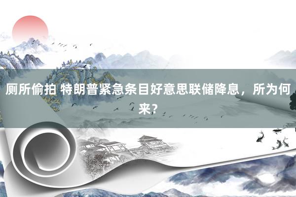 厕所偷拍 特朗普紧急条目好意思联储降息，所为何来？