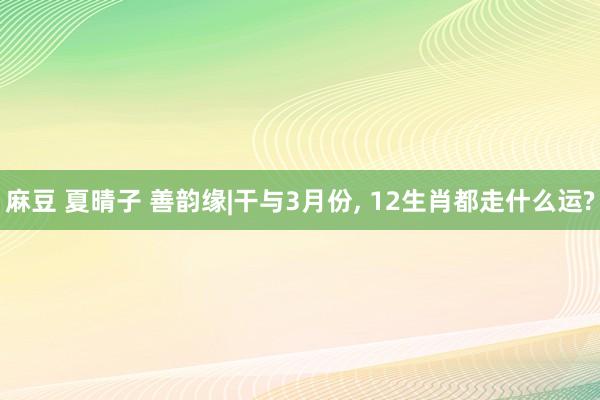 麻豆 夏晴子 善韵缘|干与3月份, 12生肖都走什么运?