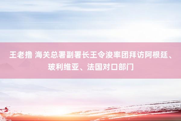 王老撸 海关总署副署长王令浚率团拜访阿根廷、玻利维亚、法国对口部门