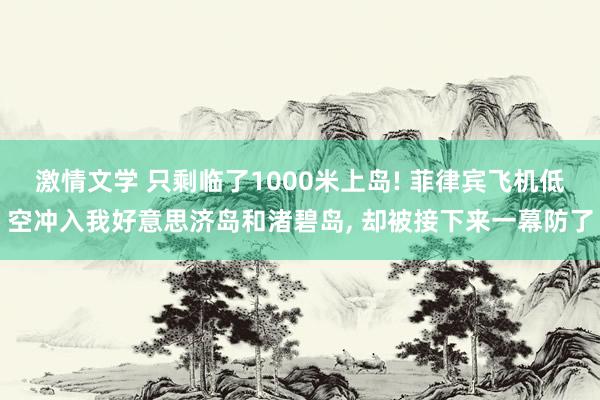 激情文学 只剩临了1000米上岛! 菲律宾飞机低空冲入我好意思济岛和渚碧岛, 却被接下来一幕防了