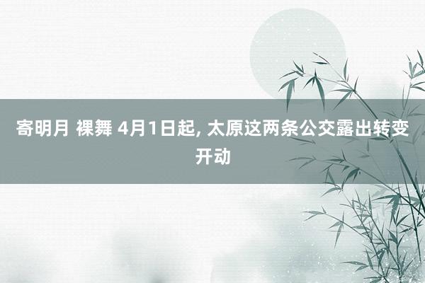 寄明月 裸舞 4月1日起, 太原这两条公交露出转变开动