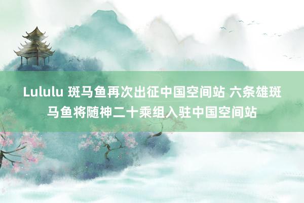 Lululu 斑马鱼再次出征中国空间站 六条雄斑马鱼将随神二十乘组入驻中国空间站
