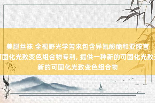 美腿丝袜 全视野光学苦求包含异氰酸酯和亚胺官能组分的可固化光致变色组合物专利, 提供一种新的可固化光致变色组合物