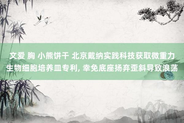 文爱 胸 小熊饼干 北京戴纳实践科技获取微重力生物细胞培养皿专利, 幸免底座扬弃歪斜导致浪荡