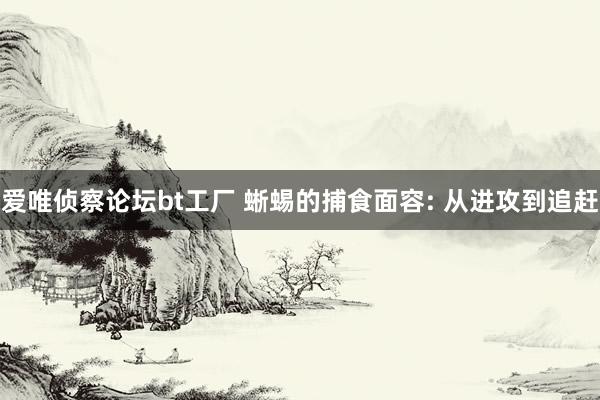 爱唯侦察论坛bt工厂 蜥蜴的捕食面容: 从进攻到追赶