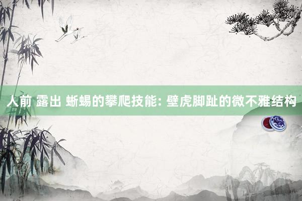 人前 露出 蜥蜴的攀爬技能: 壁虎脚趾的微不雅结构