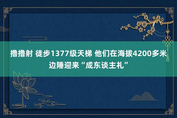 撸撸射 徒步1377级天梯 他们在海拔4200多米边陲迎来“成东谈主礼”