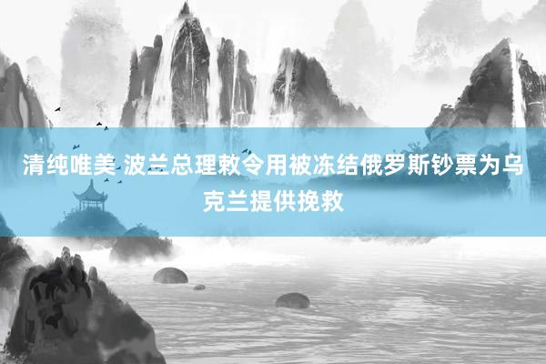 清纯唯美 波兰总理敕令用被冻结俄罗斯钞票为乌克兰提供挽救