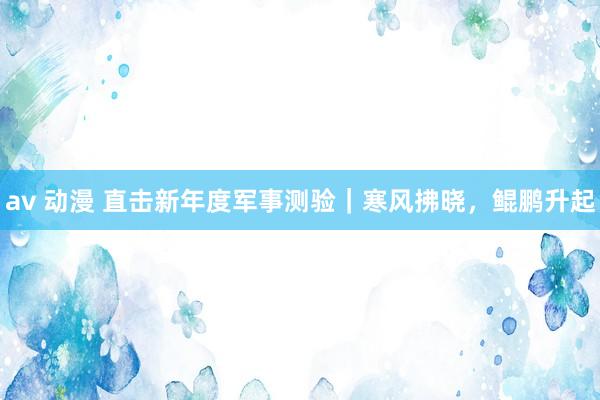 av 动漫 直击新年度军事测验｜寒风拂晓，鲲鹏升起