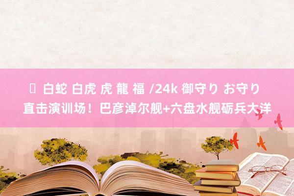 ✨白蛇 白虎 虎 龍 福 /24k 御守り お守り 直击演训场！巴彦淖尔舰+六盘水舰砺兵大洋