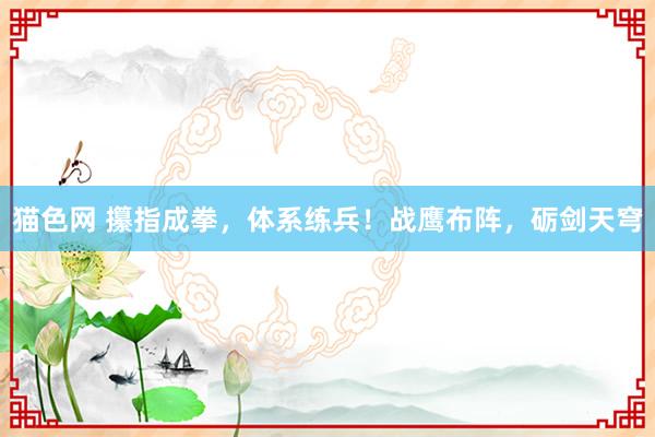 猫色网 攥指成拳，体系练兵！战鹰布阵，砺剑天穹