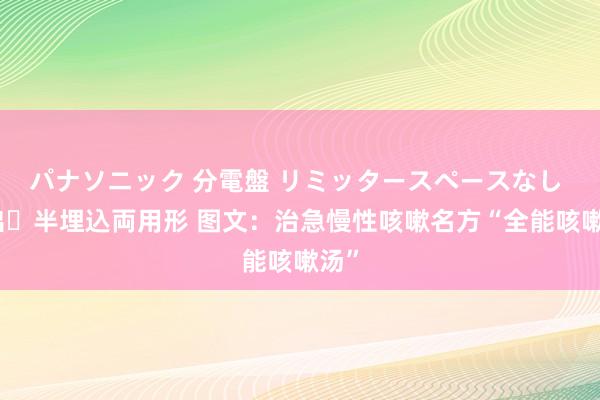 パナソニック 分電盤 リミッタースペースなし 露出・半埋込両用形 图文：治急慢性咳嗽名方“全能咳嗽汤”