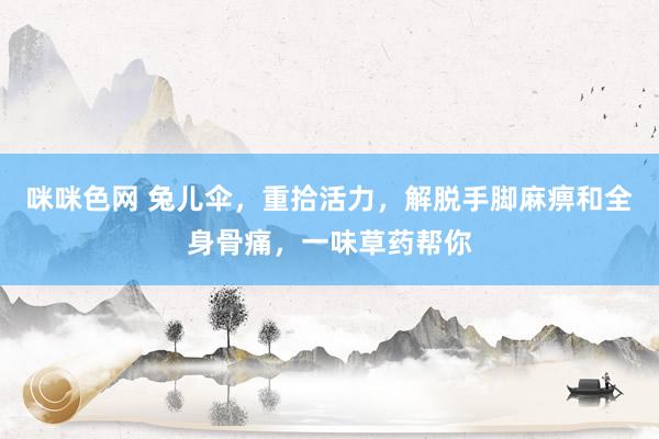 咪咪色网 兔儿伞，重拾活力，解脱手脚麻痹和全身骨痛，一味草药帮你