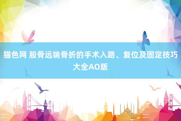 猫色网 股骨远端骨折的手术入路、复位及固定技巧大全AO版