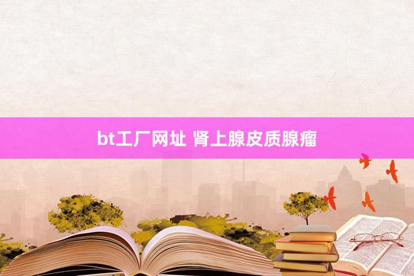 bt工厂网址 肾上腺皮质腺瘤