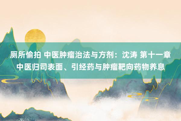 厕所偷拍 中医肿瘤治法与方剂：沈涛 第十一章　中医归司表面、引经药与肿瘤靶向药物养息