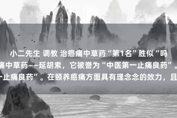 小二先生 调教 治癌痛中草药“第1名”胜似“吗啡”且莫得反作用.治癌痛中草药——延胡索，它被誉为“中医第一止痛良药”。在颐养癌痛方面具有理念念的效力，且险些无反作用。