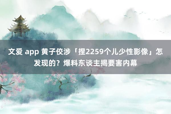 文爱 app 黄子佼涉「捏2259个儿少性影像」怎发现的？　爆料东谈主揭要害内幕